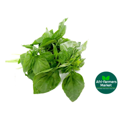 Basil leaves